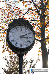 Benicia Clock